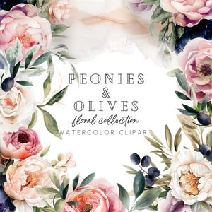 Clipart floral de acuarela, vegetación de peonías y aceitunas, ramos de acuarela, invitaciones de boda boho, bordes de tarjetas, elementos florales, fabricación de tarjetas