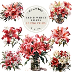 Aquarell Lilie Clipart Bundle Florale Grafiken für DIY Handwerk und Einladungen rote Blume PNG Blumen Bilder Clipart Digital Download