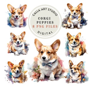 Welsh Corgis Hund Clipart Aquarell Bundle PNG Welpe Digitales Porträt Download Corgis Wand Kunst Welpe Bilder Kommerzielle Nutzung inklusive