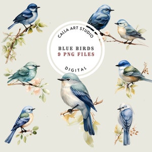 Paquete de imágenes prediseñadas de pájaros en acuarela, imágenes prediseñadas de pájaros de primavera, imágenes prediseñadas de pájaros azules, manualidades de bricolaje, invitaciones, decoración de guardería, imágenes PNG de pájaros para álbumes de recortes