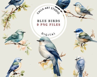 Watercolor Birds Clipart Bundle, Spring Birds Clipart, Blue Birds Clipart, DIY Crafts, Invitations, Nursery Decor Bird PNG for Scrapbooking