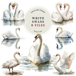 Pacote de clipart de cisnes em aquarela, clipart de casamento, imagens românticas, artesanato faça você mesmo, convites para cartões, decoração de berçário, pássaro PNG para scrapbooking