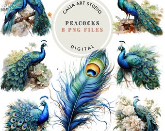 Elegant Watercolor Peacock Clipart Bundle Instant Download DIY Crafts Invitations Nursery Decor Bird Png for Scrapbooking Commercial Use