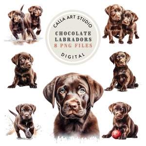 Chocolade labrador hond clipart aquarel bundel puppy digitaal portret chocolade lab png muur kunst puppy afbeeldingen commercieel gebruik inbegrepen