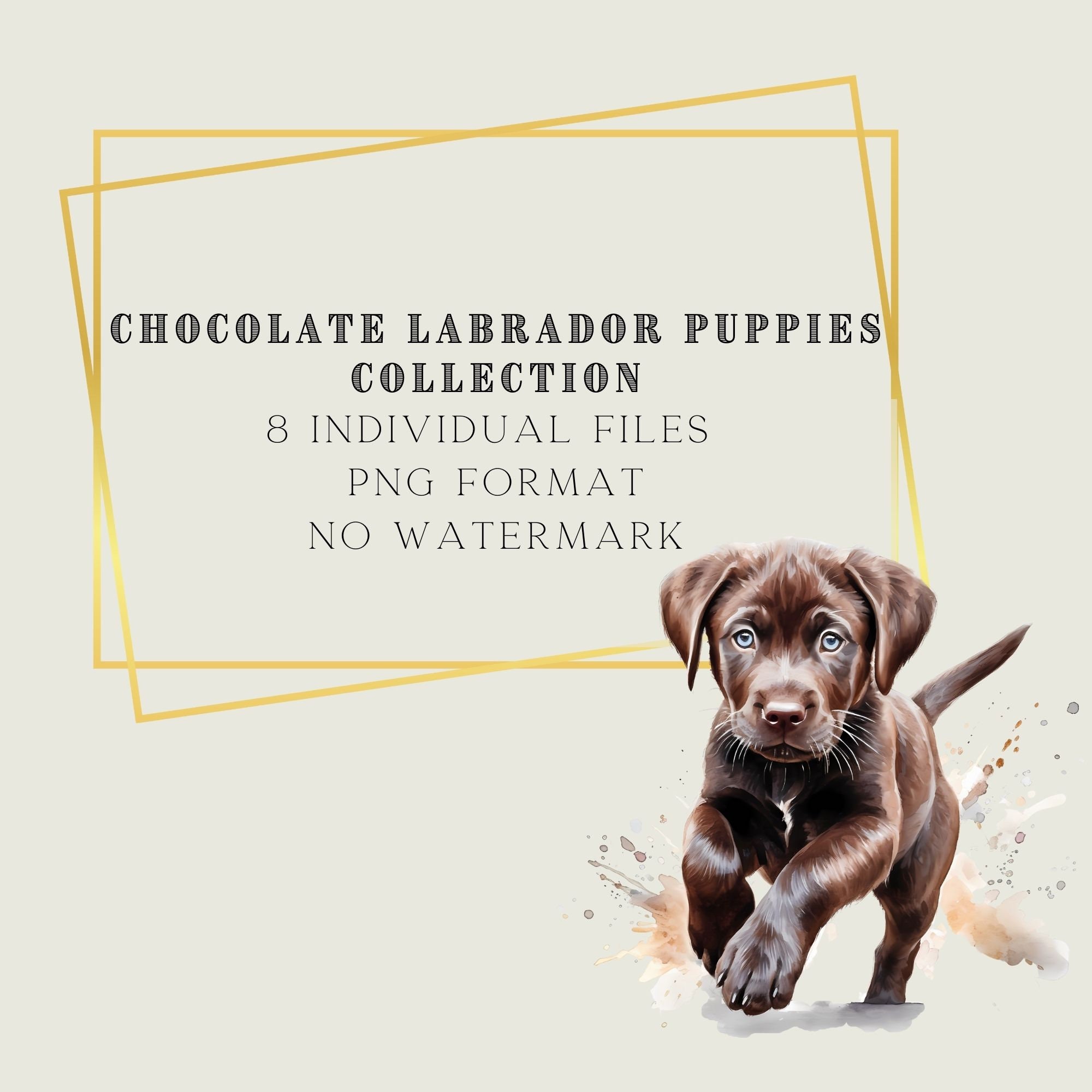 Chocolate Labrador Dog Clipart Watercolor Bundle Puppy Digital Portrait ...