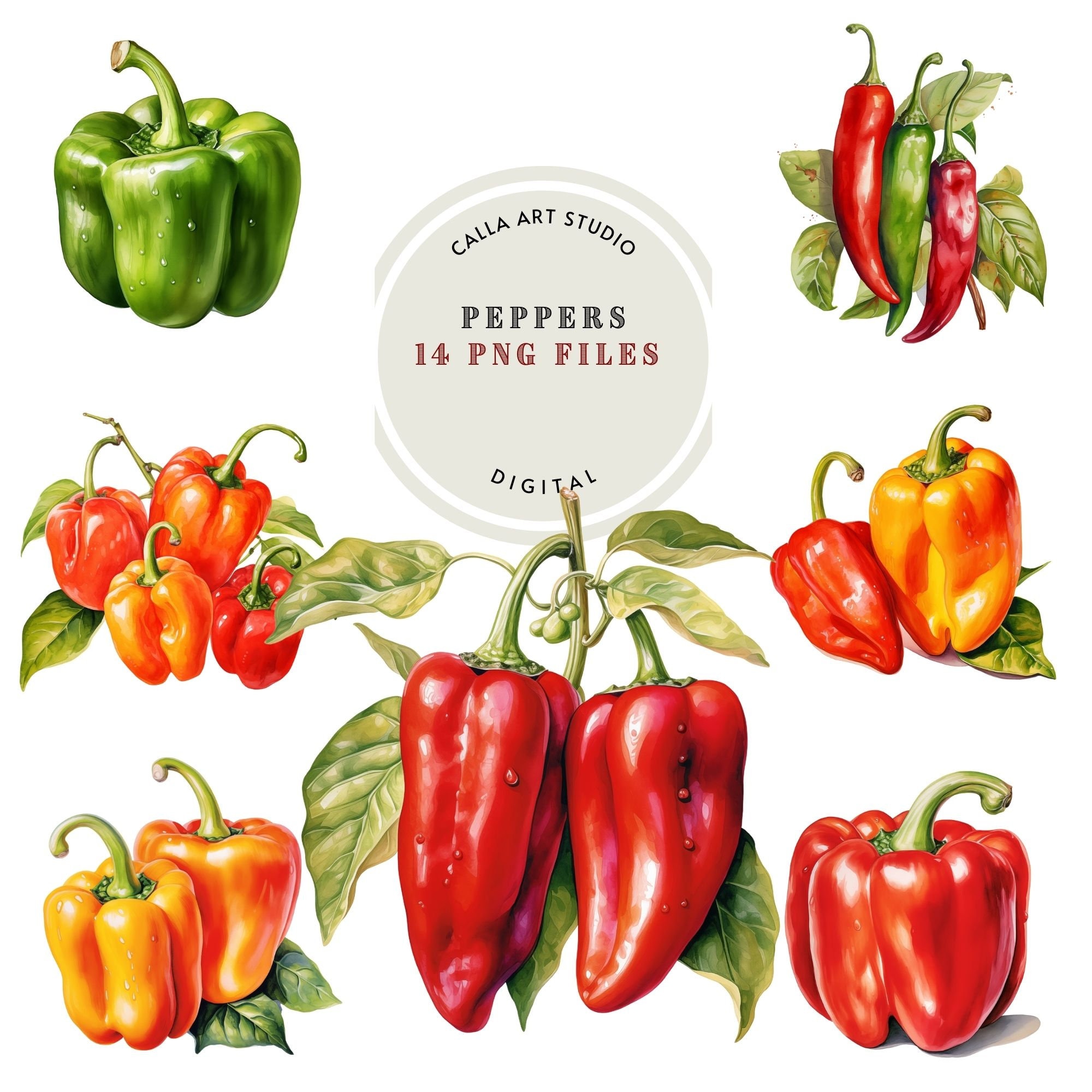 Watercolor Pepper Clipart, Food PNG, Chili Pepper, Hot Pepper, Red Hot Pepper, Vegetables, Jalapeno, Garden Lover Gift, Printable Graphics