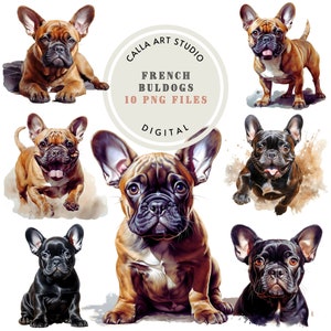 Aquarell Französische Bulldogge Clipart Hund Portrait Clip Art Frenchie Mama Geschenk Süßer Welpe druckbare Bilder Hund Mama Geschenk für Hundeliebhaber PNG-Dateien