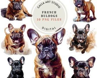 Watercolor French Bulldog Clipart Dog Portrait Clip art Frenchie Mom Gift Cute Puppy Printable Images Dog Mom Gift for Dog Lovers PNG Files