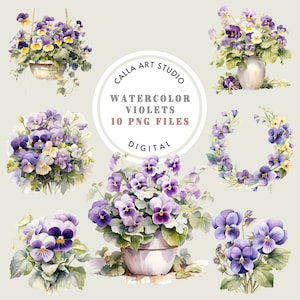 Aquarell Veilchen Clipart Bundle, Florale Kunst für Heimwerker, Designer, Erzieher, kommerzielle Nutzung, druckbare Blumen, vorgefertigtes Blumenmuster
