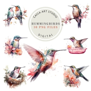 Hummingbird Watercolor Clipart Bundle Birds Clipart Cute Bird Clipart Summer PNG for Scrapbooking Digital Download for Commercial Use