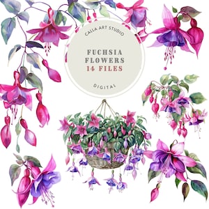 Fuchsia Watercolor Clipart, Fuchsia Flowers, Watercolor Flower Clipart, Floral Clipart, Scrapbooking, Summer, Junk Journal, Digital Download