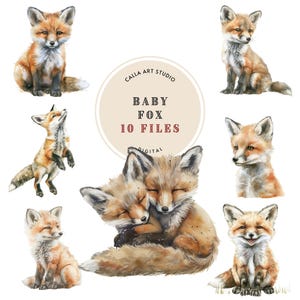 Clipart renard aquarelle, bébé animal, usage commercial, image d'animal de la forêt, art pour chambre d'enfant, illustration de renard mignon, PNG transparent