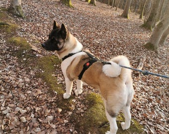 H-Style Hundegeschirr für große Rassen | Strapazierfähiger No-Pull H-Geschirr