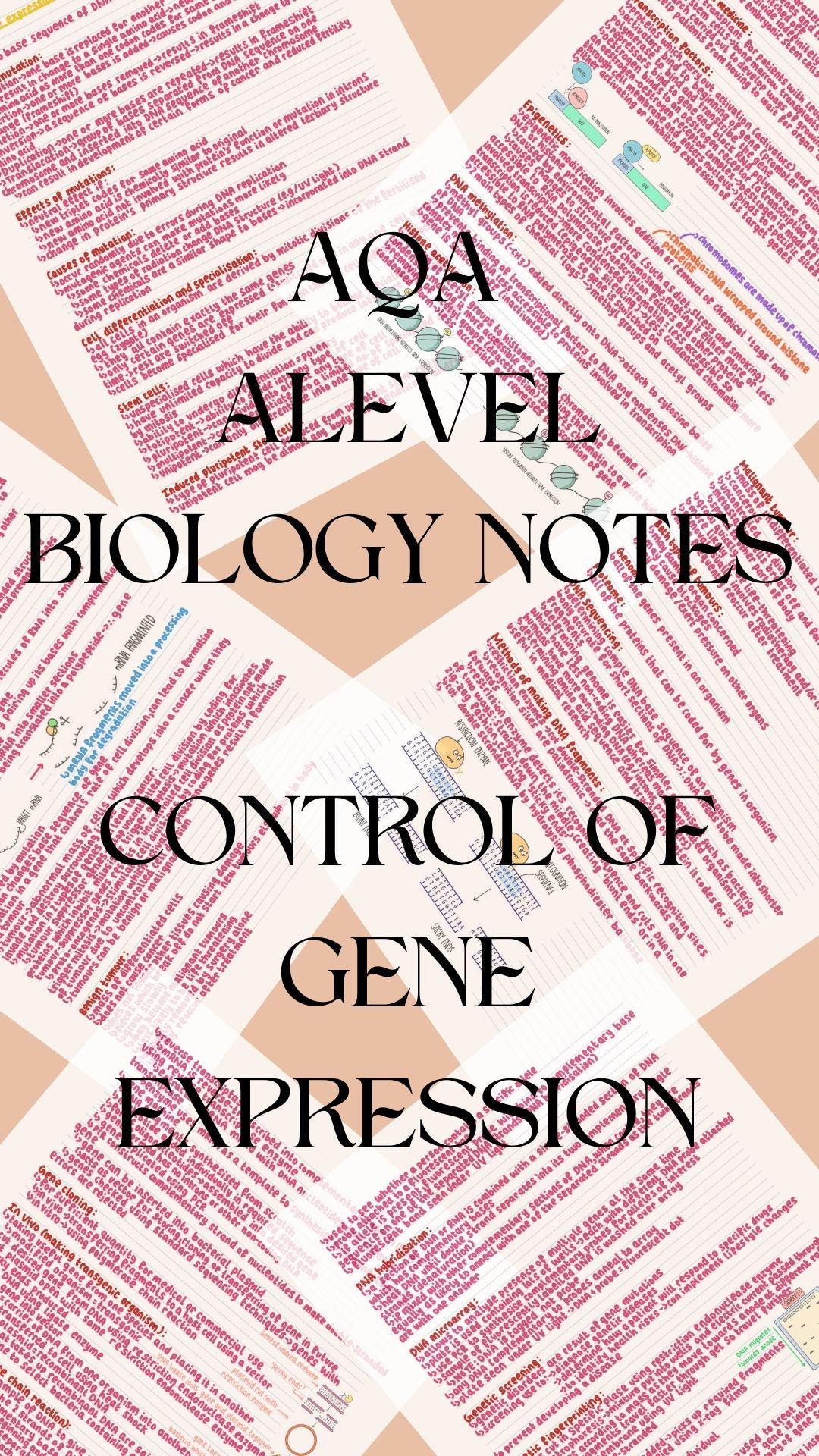 AQA A-level Biology Topic 8- Control of Gene Expression Revision Notes ...