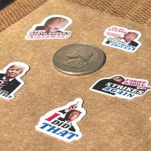Funny Anti Trump Sticker Pack 'I Did That' (Mini Vinyl Decals) image 10