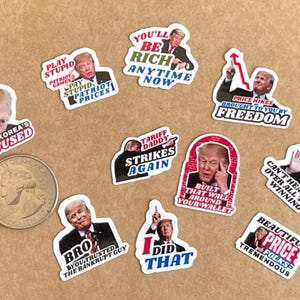 Funny Anti Trump Sticker Pack 'I Did That' (Mini Vinyl Decals) image 3
