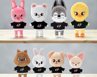 Box Only. Stray Kids SKZOO Box 10cm Plush Fanmade BOX [BOX Only