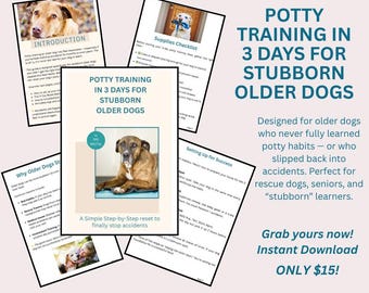 Potty Training Older Dogs in 3 Days – Simple Reset Guide for Stubborn Dogs