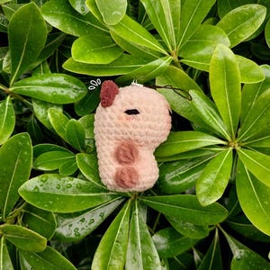 May include: A handmade, light pink crochet charm shaped like a stylized animal, possibly a capybara. It has dark brown accents and a small loop for attaching to a keychain or bag. The charm is set against a backdrop of lush, green leaves.