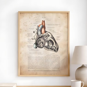 Peut inclure: Une impression anatomique de style vintage représentant un cœur humain dans un cadre en bois. L'illustration présente des vues détaillées en coupe du cœur avec des étiquettes et des paragraphes descriptifs en allemand sur du papier beige vieilli.