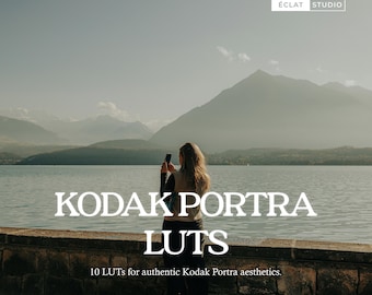 10 Kodak Portra Inspired LUTs for Video Editing | Authentic Film DaVinci Resolve