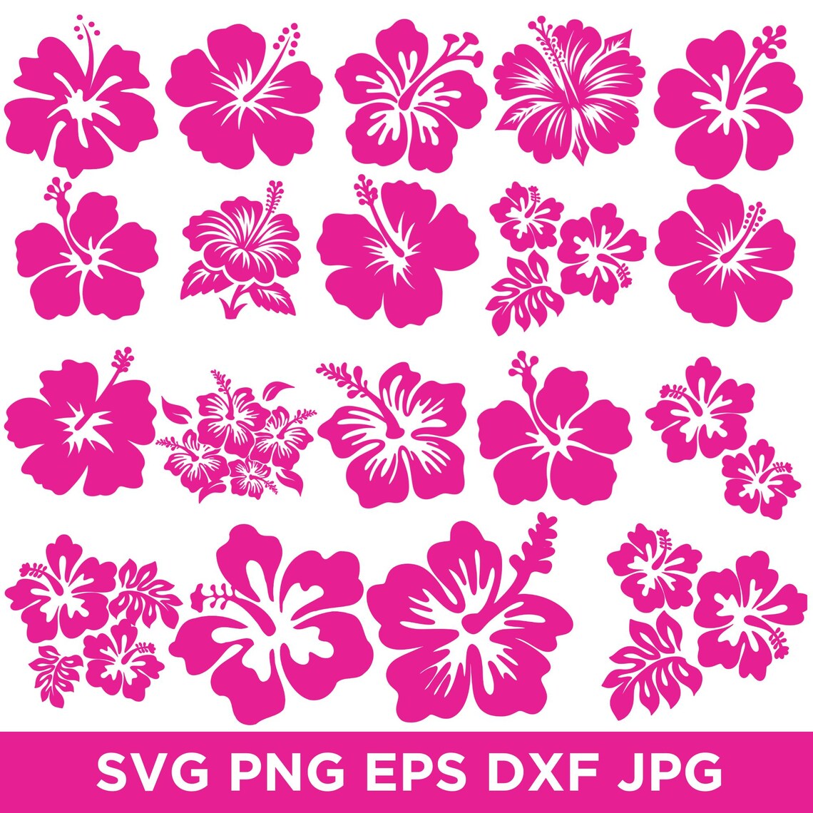Hibiscus Flower SVG Bundle: Tropical Floral Clipart, Cut Files - Etsy