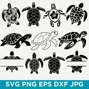 May include: Collection of black and white sea turtle designs. Various turtle illustrations include detailed shell patterns, a hibiscus flower, and blank spaces for personalization. The image also includes the text: SVG PNG EPS DXF JPG.