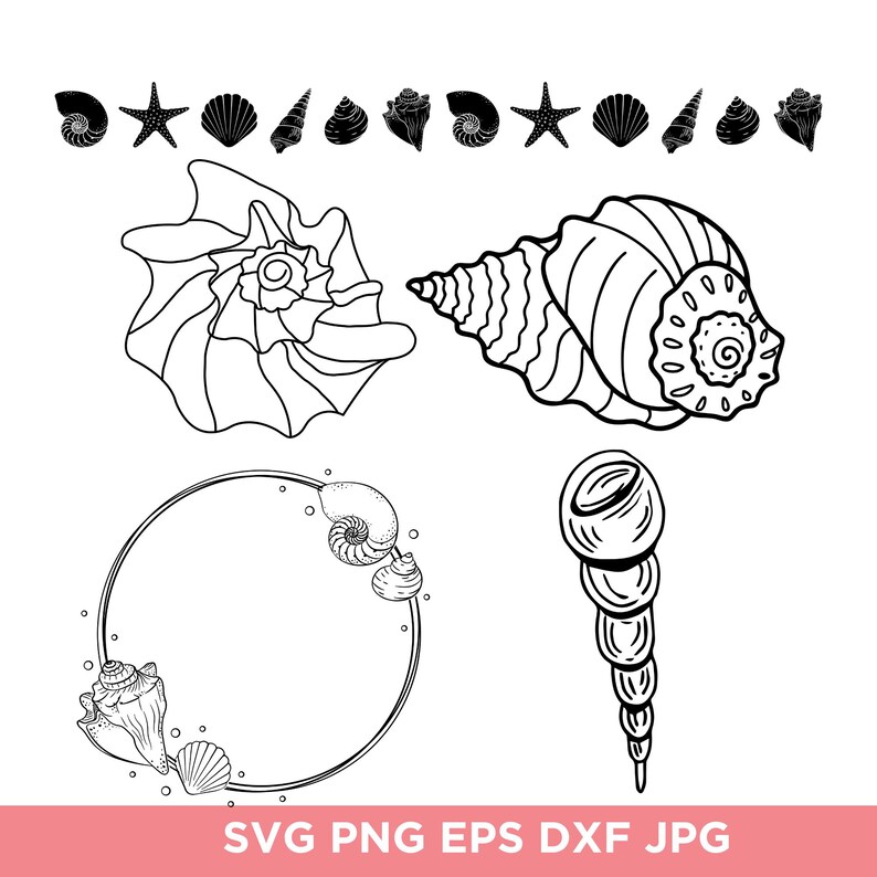 Seashell Svg Bundle, Seashell Png Bundle, Seashell Clipart, Sea World ...