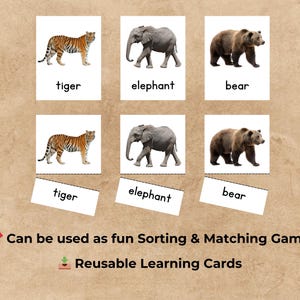 May include: Educational learning cards featuring images of a tiger, elephant, and bear. Each animal is paired with its name. The cards are designed for a fun sorting and matching game. The text on the cards reads: "Can be used as fun Sorting & Matching Game Reusable Learning Cards."