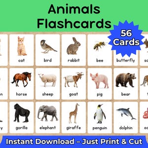 Animal Flashcards for Kids | 56 Printable Cards | Preschool, Kindergarten, ESL, Homeschool | Learn Animals Names Game & Activity | Printable