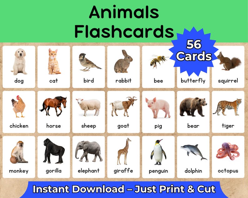 May include: Educational flashcards featuring various animals, including a dog, cat, bird, rabbit, bee, butterfly, and squirrel. The set includes 56 cards with colorful illustrations and the text "Animals Flashcards". The phrase "Instant Download - Just Print & Cut" is also visible.
