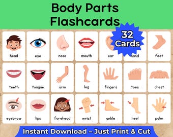 Body Parts Flashcards for Kids – 32 Cards | Learn Human Body Vocabulary | Preschool, Kindergarten, ESL, Homeschool | Printable PDF