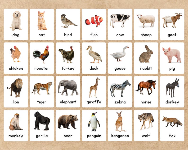 May include: Educational flashcards featuring various animals, including a dog, cat, bird, fish, cow, sheep, goat, chicken, rooster, turkey, duck, goose, rabbit, pig, lion, tiger, elephant, giraffe, zebra, horse, donkey, monkey, gorilla, bear, penguin, kangaroo, wolf, and fox.