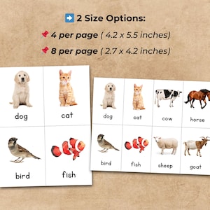 May include: Two sets of flashcards with animal illustrations and labels. One set has 4 cards per page (4.2 x 5.5 inches), the other has 8 cards per page (2.7 x 4.2 inches). Animals include a dog, cat, cow, horse, bird, fish, sheep, and goat.