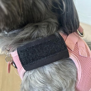 May include: A pink mesh dog harness with a black Velcro closure. The harness has a metal ring for leash attachment and is designed for comfort and security. The dog's gray fur is visible.
