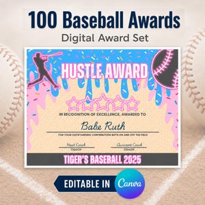 100 Baseball Awards End of Season Baseball Award Certificates for Team Banquet Editable Canva Template Ice Cream Drip Baseball Player Awards