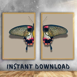 Wings of Elegance – Modern Butterfly Wall Art for Instant Download