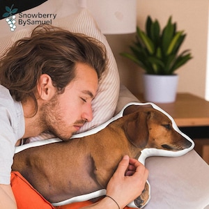 Custom 3D Pet Pillow Case, Personalized Dog Cat Shaped Pillow, Double Sided Pet Pillow, Pet Memorial Gift, Father&#39;s Day Gift