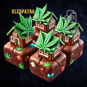 May include: A whimsical image featuring several square, chocolate-brown edibles, each topped with a miniature house and a large green cannabis leaf. The houses have green roofs and white window frames. The text "KLEOPATRA420" is in the upper left.
