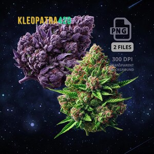 Puede incluir: Imagen de dos cogollos de cannabis, uno morado y otro verde con toques rojos. El texto "KLEOPATRA 420" está en amarillo y verde. Texto adicional indica un archivo PNG con 2 archivos y 300 DPI.