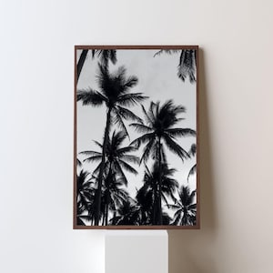 Impressão de palmeira em preto e branco, fotografia de praia tropical, arte de parede minimalista, pôster monocromático para impressão, download digital costeiro
