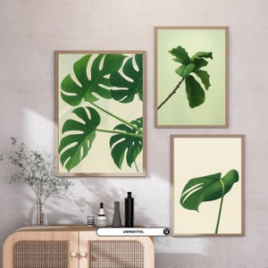 Pflanzen Wandkunst | Kaktus Wandkunst | Kaktus | Botanische | Blätter Wandkunst | 6er-Set Digitaldruckkunst | Pflanzenposter | Kaktus Poster