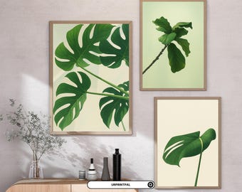 Arte mural de plantas / Arte mural de cactus / Cactus / Botánico / Arte mural de hojas / Juego de 6 impresiones digitales / Pósteres de plantas / Pósteres de cactus
