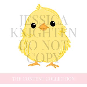 Pollito dibujado a mano PNG Clipart digital pollo transparente moda gráfico dibujos animados detallado animal de granja pájaro - Úselo para crear nuevos diseños digitales