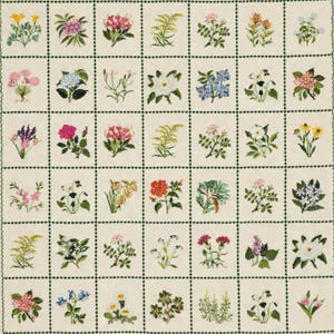May include: A detailed cross-stitch sampler featuring a grid of various colorful flowers. Each square showcases a different floral design, including roses, daisies, and other blooms, all set against a cream-colored background with green borders.