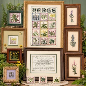 Patrón de punto de cruz con muestrario de hierbas vintage – Diseño rústico botánico para pared, descarga instantánea en PDF.