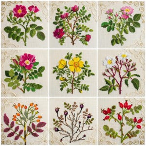 Può includere: Una griglia di nove disegni floreali a punto croce. Ogni quadrato presenta una diversa illustrazione botanica, tra cui rose, bacche e fogliame in vari colori come rosa, giallo e arancione. I disegni sono su uno sfondo color crema.