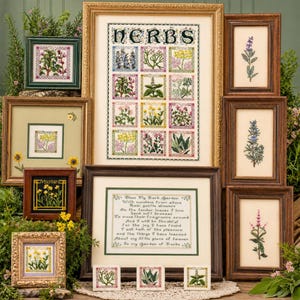 Può includere: Una collezione di ricami a punto croce incorniciati con varie erbe e illustrazioni botaniche. Il pezzo centrale mostra la parola HERBS sopra una griglia di dodici illustrazioni di erbe, mentre un altro presenta una poesia su un giardino.