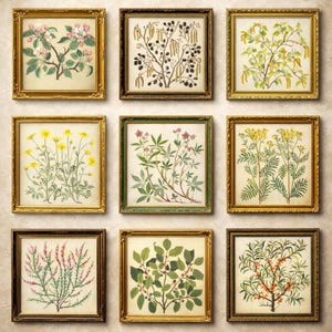 Kollektion av vintage botaniska korsstygnsmönster – Blom- och växtbroderidesigner, PDF direktnedladdning