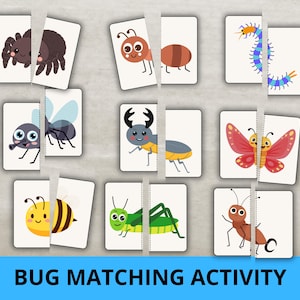 Peut inclure: Un jeu d'association d'insectes composé de neuf paires de cartes rectangulaires. Chaque carte présente une illustration colorée de style dessin animé représentant un insecte ou un arachnide, dont une araignée, une fourmi, un mille-pattes et un papillon.